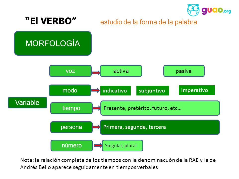 El VERBO MORFOLOGÍA estudio de la forma de la palabra Variable voz
