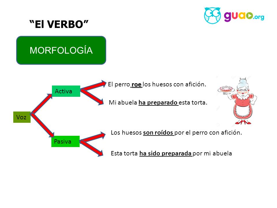 El VERBO MORFOLOGÍA El perro roe los huesos con afición. Activa