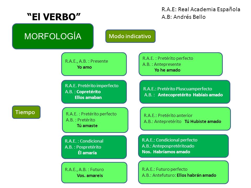 El VERBO MORFOLOGÍA R.A.E: Real Academia Española A.B: Andrés Bello
