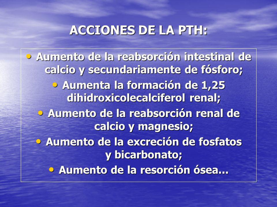 ACCIONES DE LA PTH: Aumento de la reabsorción intestinal de calcio y secundariamente de fósforo;