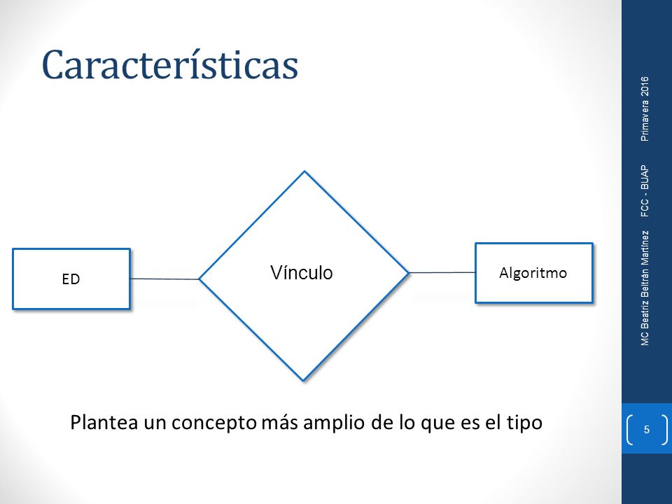 Plantea un concepto más amplio de lo que es el tipo