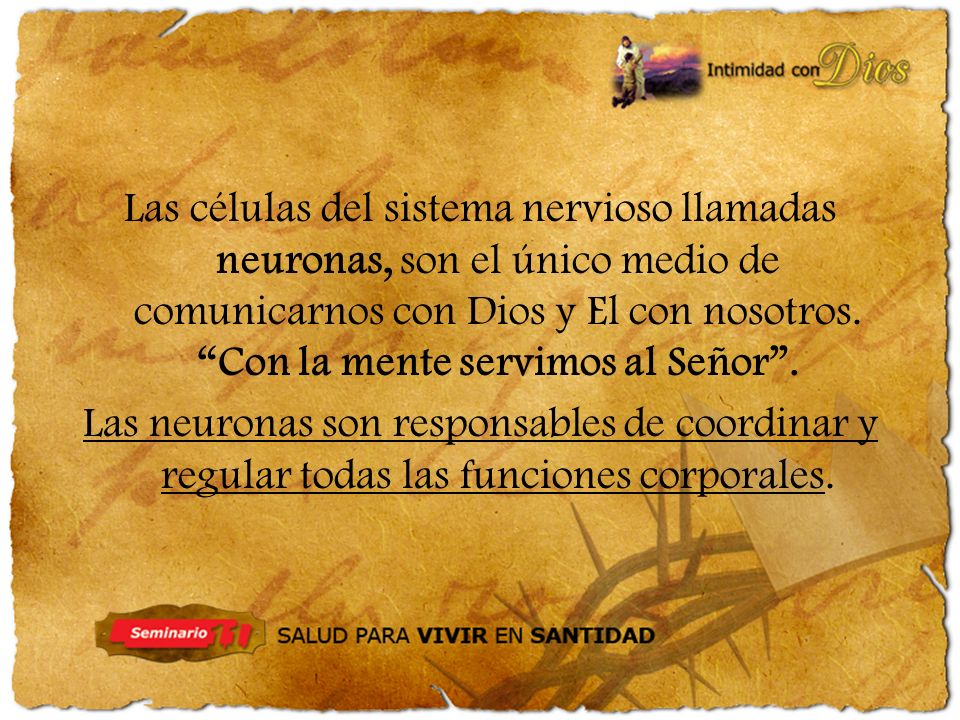 Las células del sistema nervioso llamadas neuronas, son el único medio de comunicarnos con Dios y El con nosotros. Con la mente servimos al Señor .