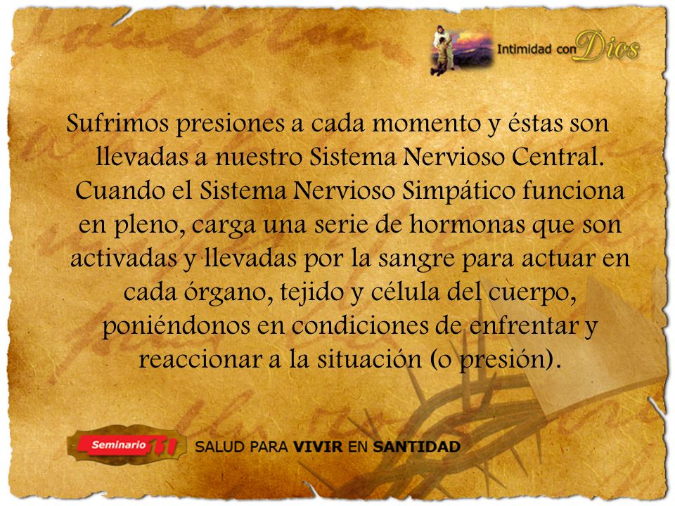 Sufrimos presiones a cada momento y éstas son llevadas a nuestro Sistema Nervioso Central.