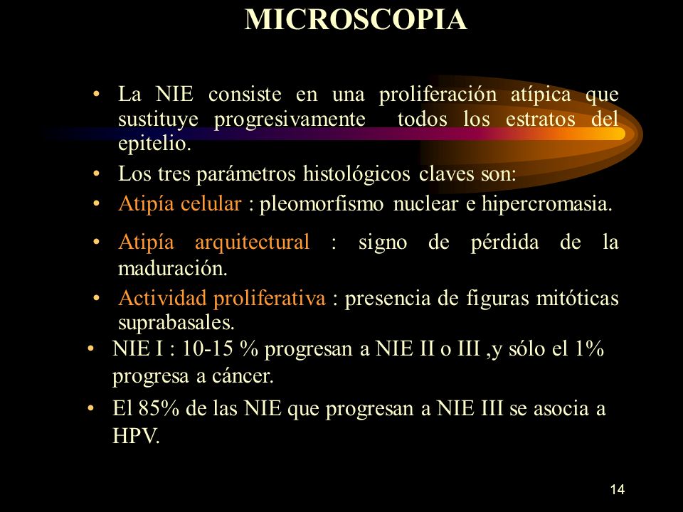 MICROSCOPIA La NIE consiste en una proliferación atípica que sustituye progresivamente todos los estratos del epitelio.