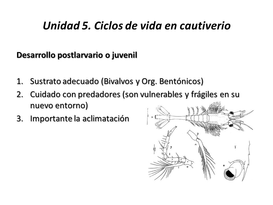 Unidad 5. Ciclos de vida en cautiverio