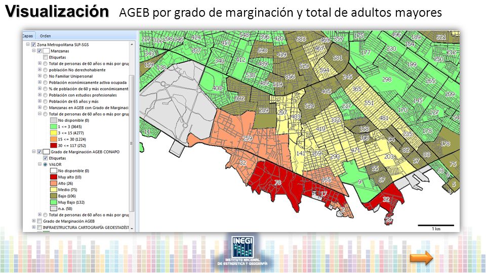 Visualización AGEB por grado de marginación y total de adultos mayores