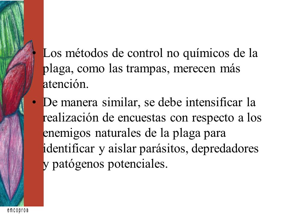 Los métodos de control no químicos de la plaga, como las trampas, merecen más atención.