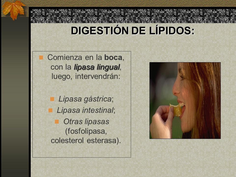 DIGESTIÓN DE LÍPIDOS: Comienza en la boca, con la lipasa lingual, luego, intervendrán: Lipasa gástrica;