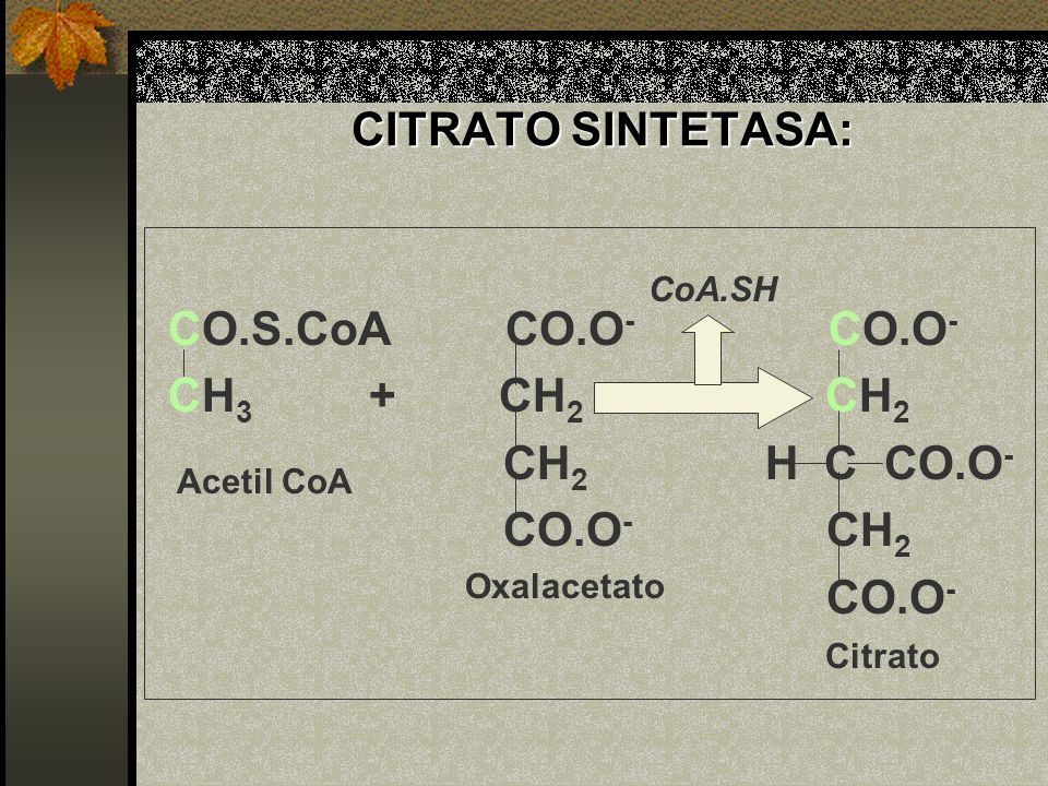 CITRATO SINTETASA: CO.S.CoA CO.O- CO.O- CH3 + CH2 CH2 CH2 H C CO.O-