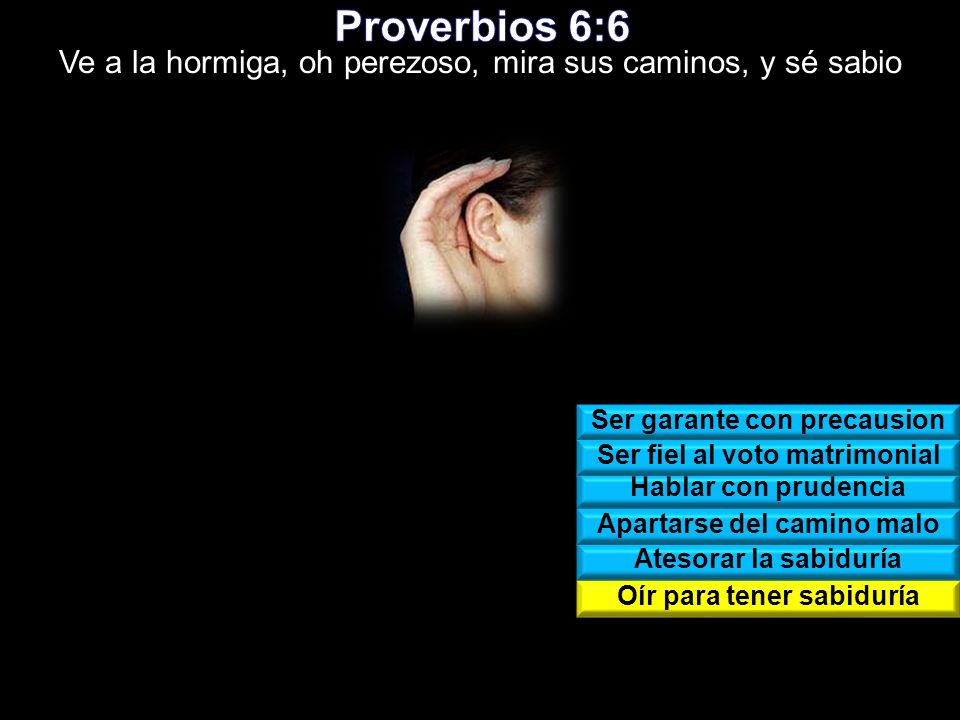 Proverbios 6:6 Ve a la hormiga, oh perezoso, mira sus caminos, y sé sabio. Ser garante con precausion.