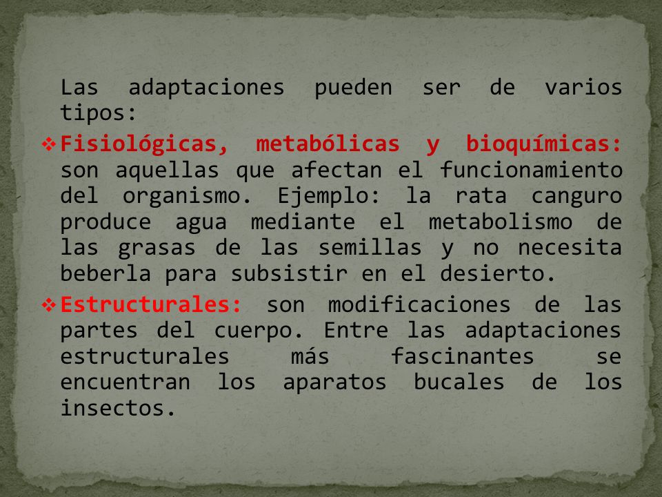 Las adaptaciones pueden ser de varios tipos: