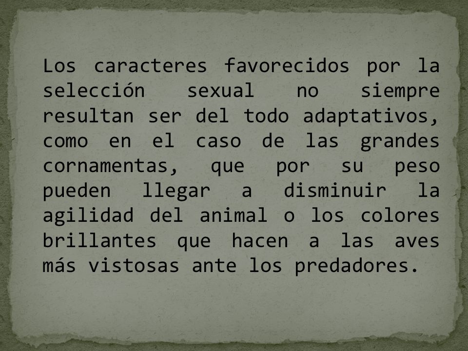 Los caracteres favorecidos por la selección sexual no siempre resultan ser del todo adaptativos, como en el caso de las grandes cornamentas, que por su peso pueden llegar a disminuir la agilidad del animal o los colores brillantes que hacen a las aves más vistosas ante los predadores.