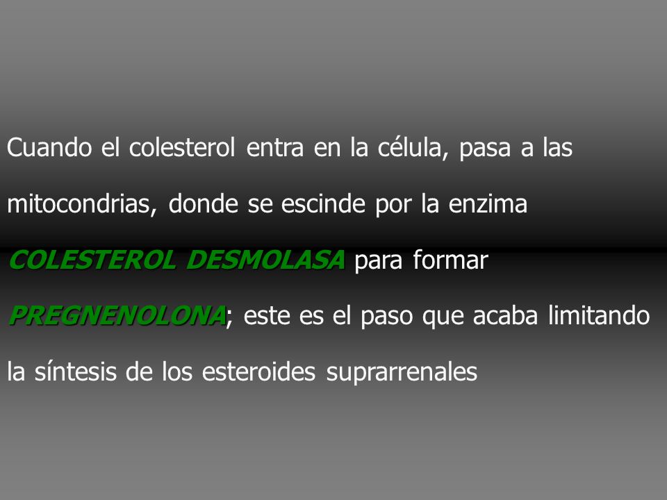 Cuando el colesterol entra en la célula, pasa a las mitocondrias, donde se escinde por la enzima COLESTEROL DESMOLASA para formar PREGNENOLONA; este es el paso que acaba limitando la síntesis de los esteroides suprarrenales