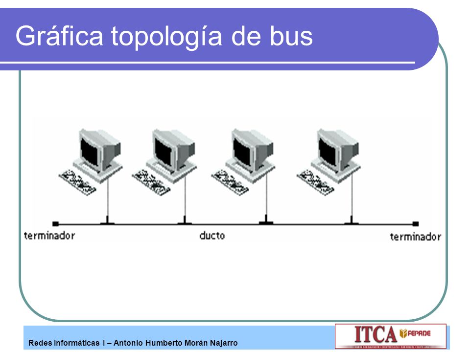 Gráfica topología de bus