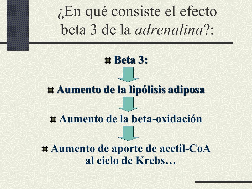 ¿En qué consiste el efecto beta 3 de la adrenalina :