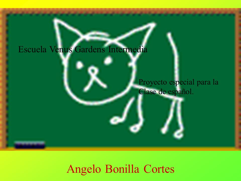 Angelo Bonilla Cortes Escuela Venus Gardens Intermedia