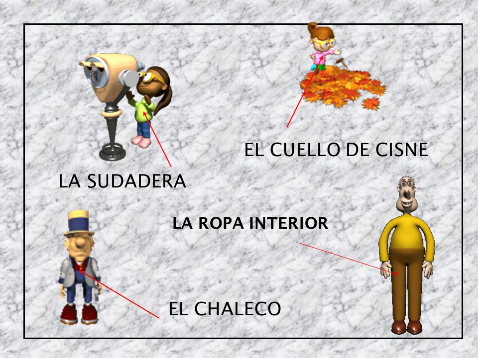 EL CUELLO DE CISNE LA SUDADERA LA ROPA INTERIOR EL CHALECO