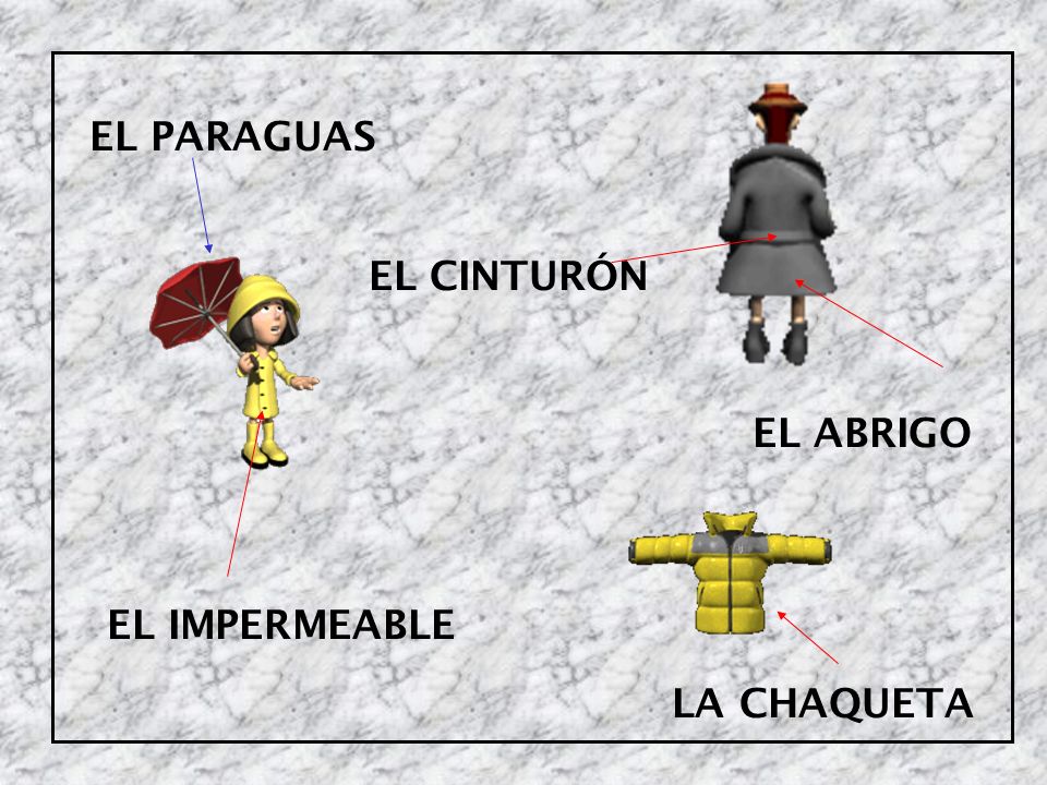 EL PARAGUAS EL CINTURÓN EL ABRIGO EL IMPERMEABLE LA CHAQUETA