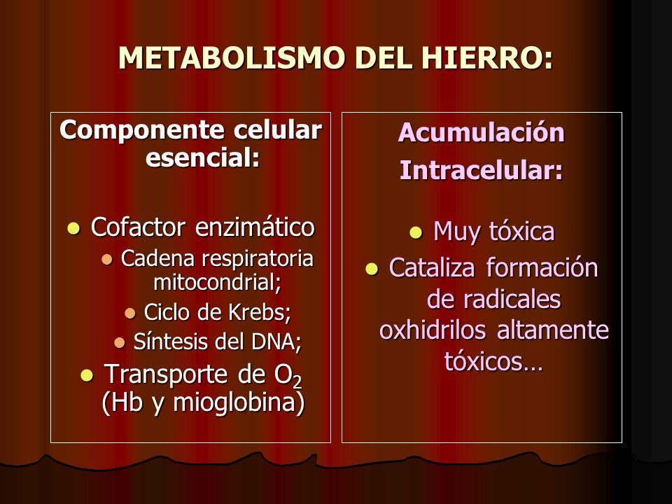 Metabolismo del hierro - ppt video online descargar
