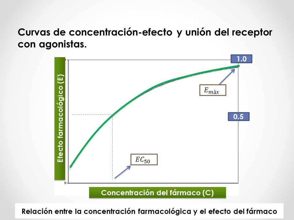 Curvas de concentración-efecto y unión del receptor con agonistas.