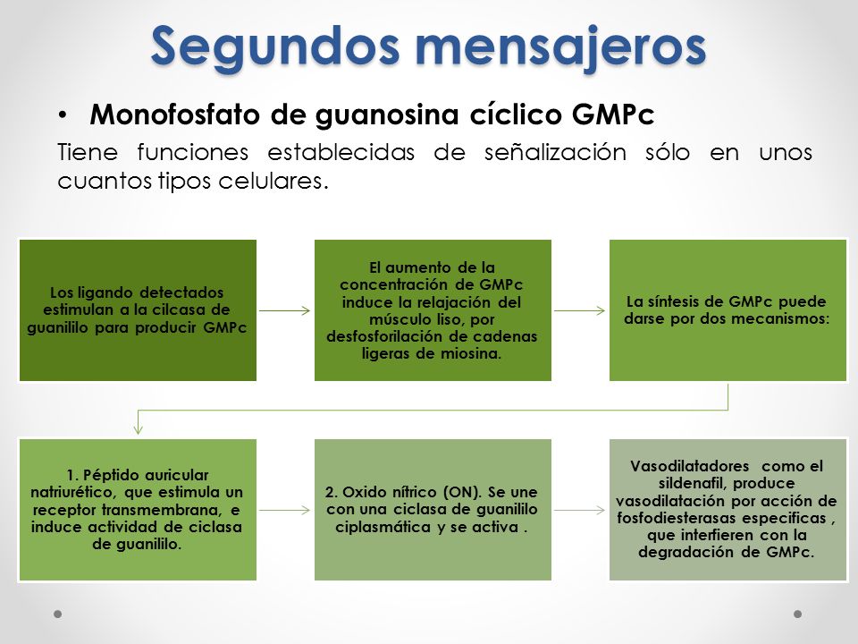 La síntesis de GMPc puede darse por dos mecanismos: