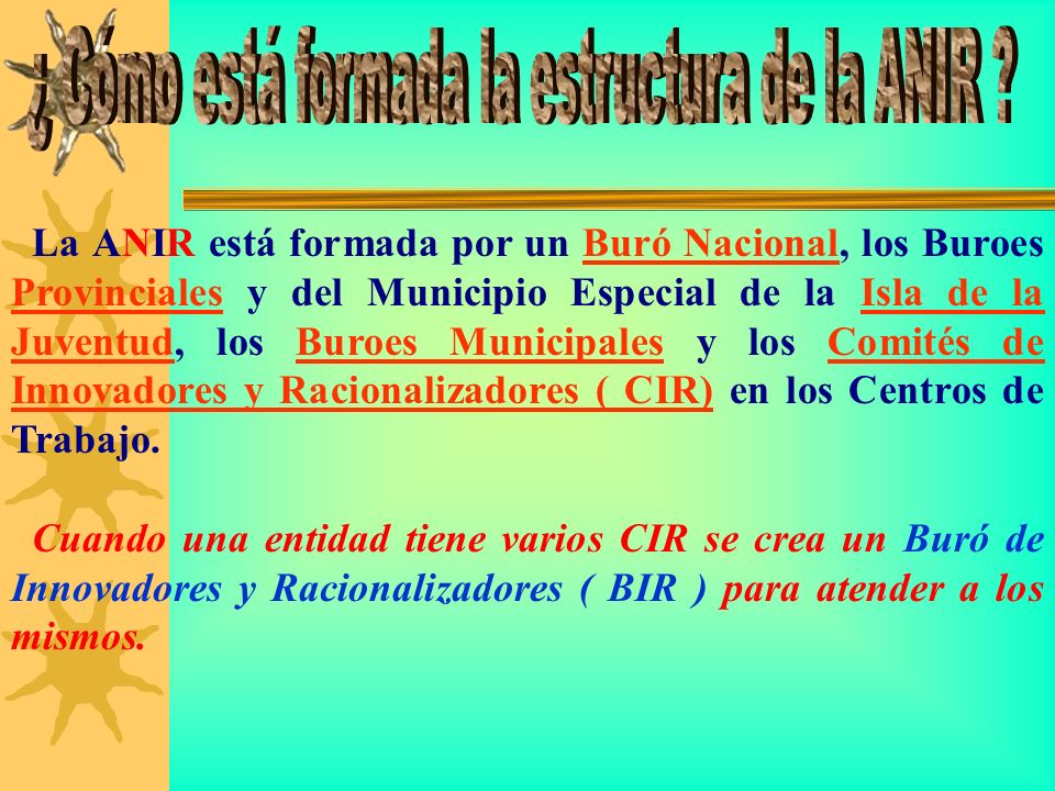 ¿ Cómo está formada la estructura de la ANIR