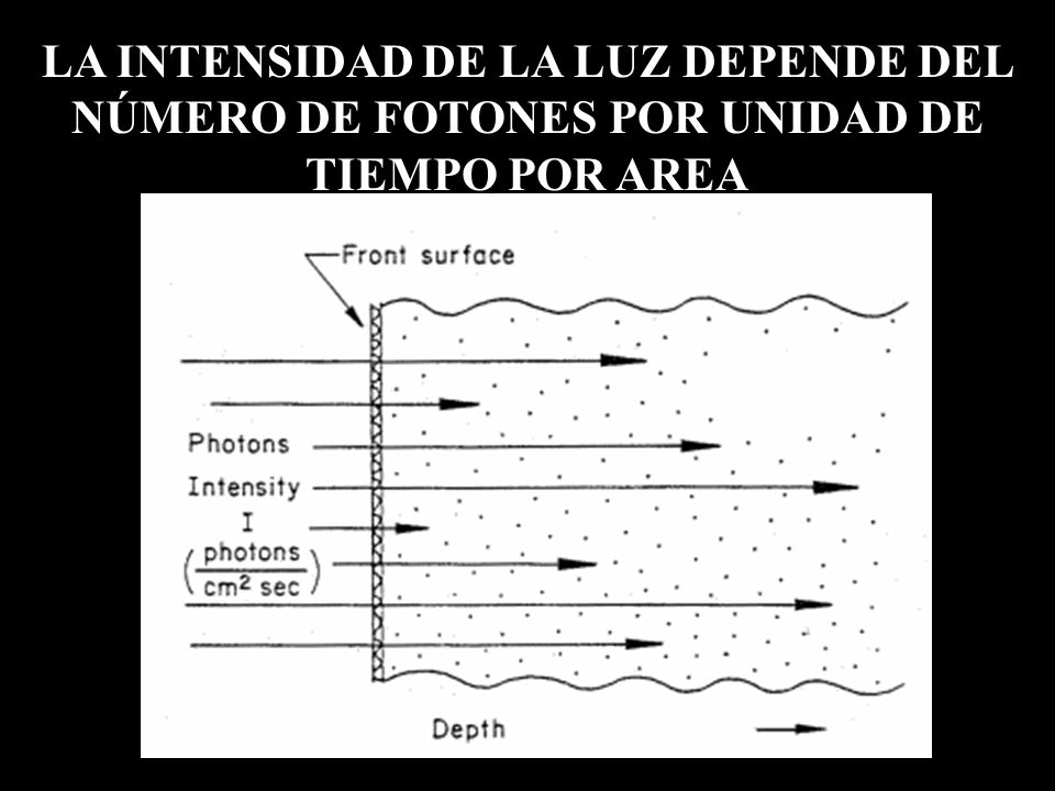 LA INTENSIDAD DE LA LUZ DEPENDE DEL NÚMERO DE FOTONES POR UNIDAD DE TIEMPO POR AREA