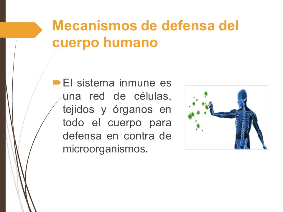 https://slideplayer.es/slide/9445359/28/images/3/Mecanismos+de+defensa+del+cuerpo+humano.jpg