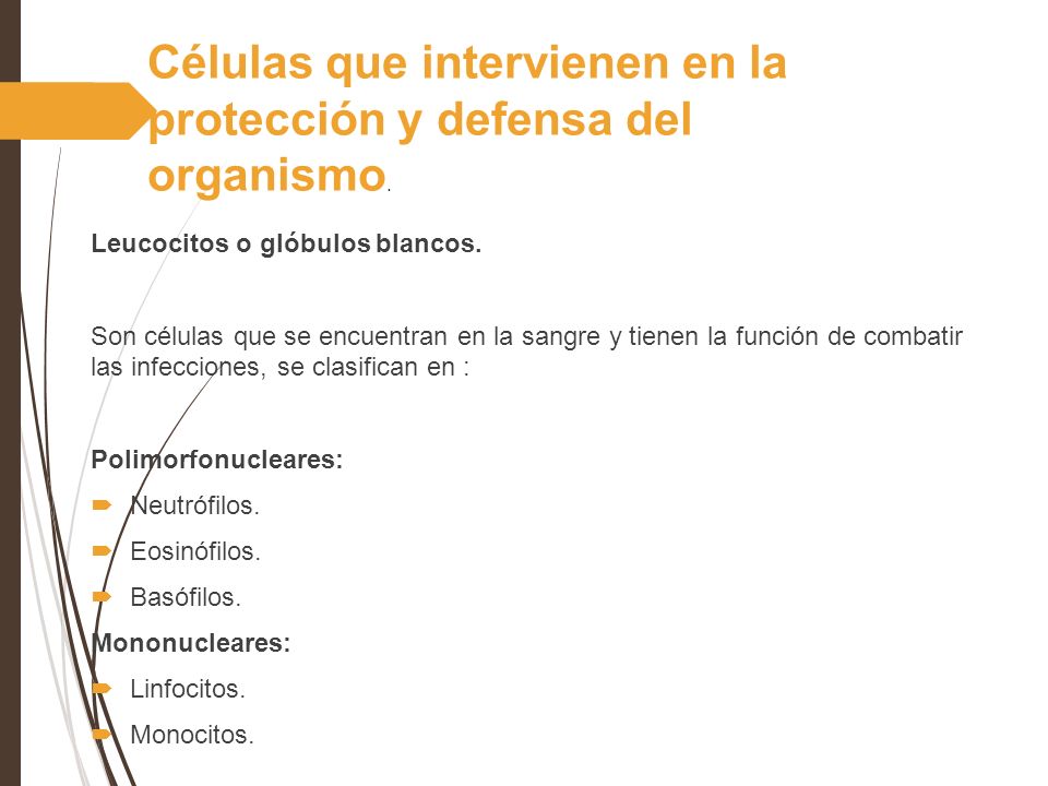 Células que intervienen en la protección y defensa del organismo.