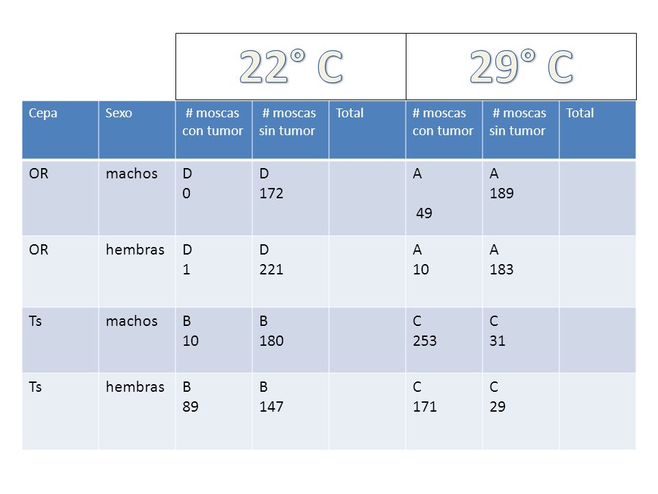 22° C 29° C OR machos D 172 A hembras Ts B 180 C