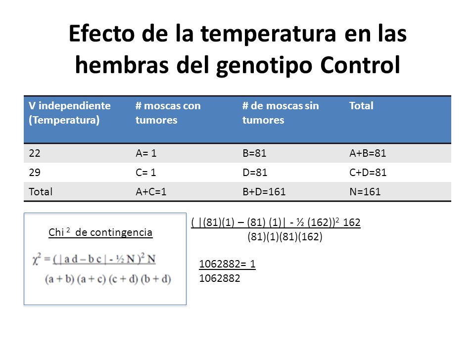 Efecto de la temperatura en las hembras del genotipo Control