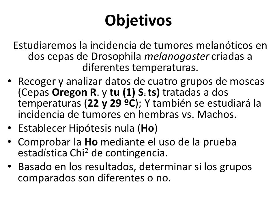 Objetivos Estudiaremos la incidencia de tumores melanóticos en dos cepas de Drosophila melanogaster criadas a diferentes temperaturas.