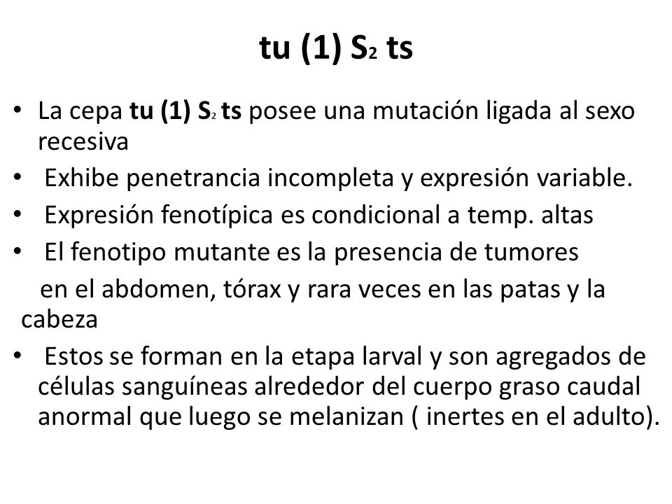 tu (1) S2 ts La cepa tu (1) S2 ts posee una mutación ligada al sexo recesiva. Exhibe penetrancia incompleta y expresión variable.