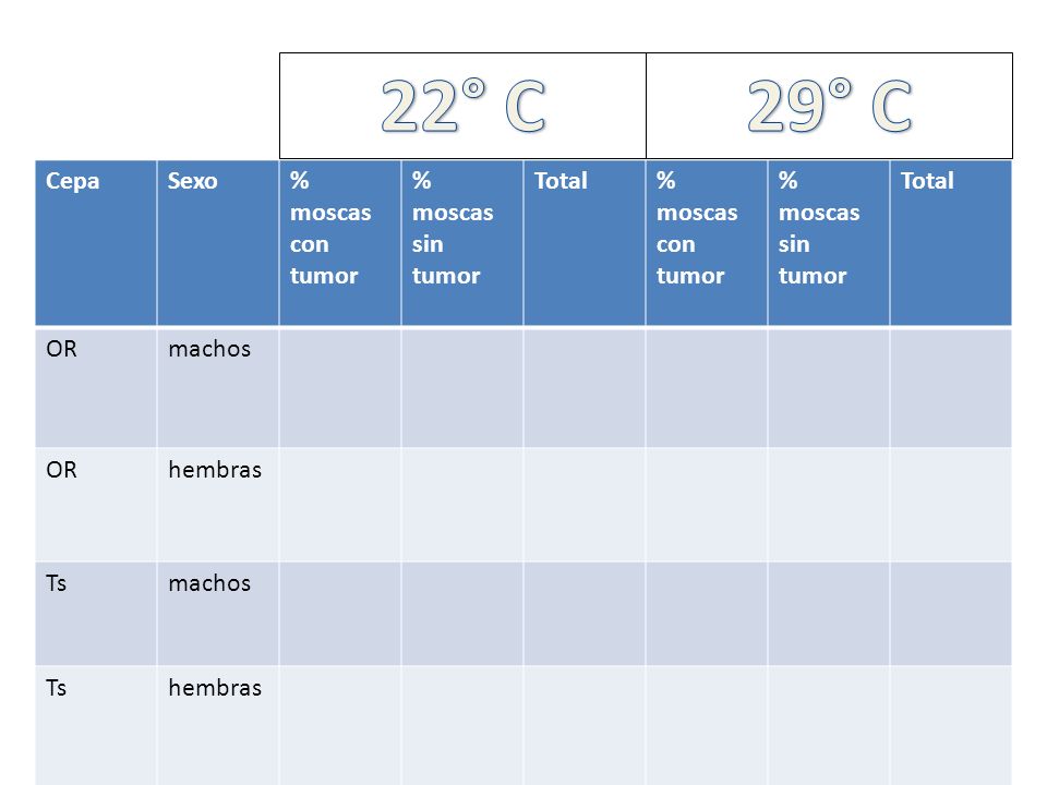 22° C 29° C Cepa Sexo % moscas con tumor % moscas sin tumor Total OR