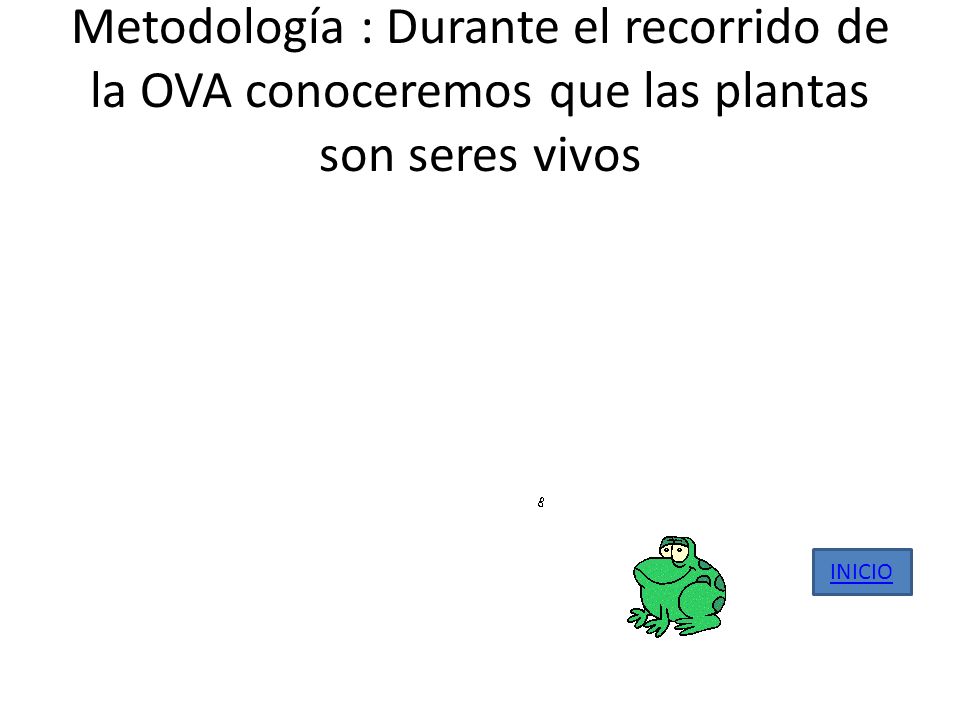 Metodología : Durante el recorrido de la OVA conoceremos que las plantas son seres vivos