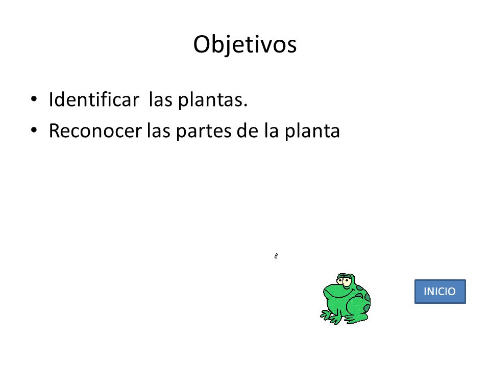 Objetivos Identificar las plantas. Reconocer las partes de la planta