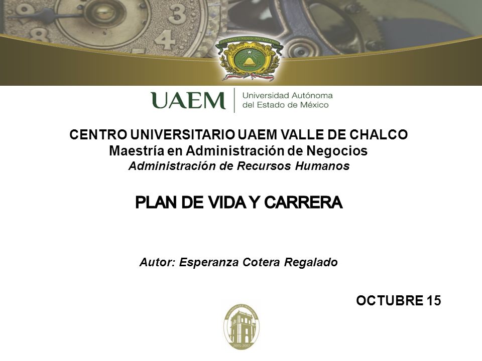 PLAN DE VIDA Y CARRERA CENTRO UNIVERSITARIO UAEM VALLE DE CHALCO