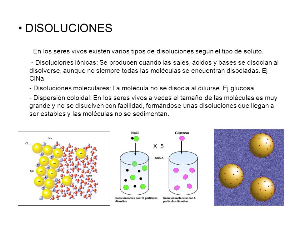 DISOLUCIONES En los seres vivos existen varios tipos de disoluciones según el tipo de soluto.