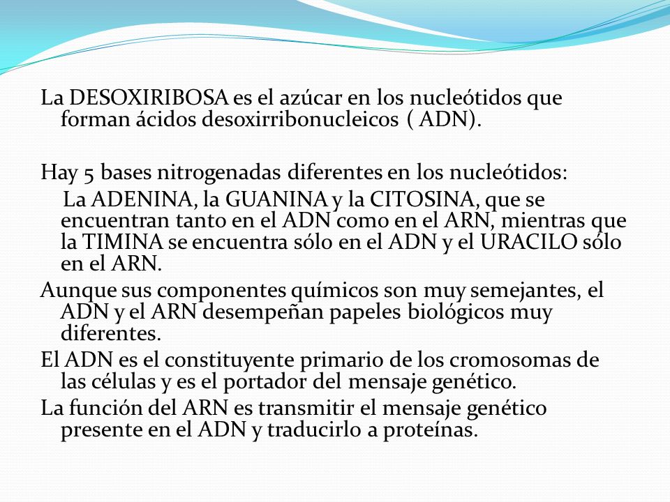 La DESOXIRIBOSA es el azúcar en los nucleótidos que forman ácidos desoxirribonucleicos ( ADN).