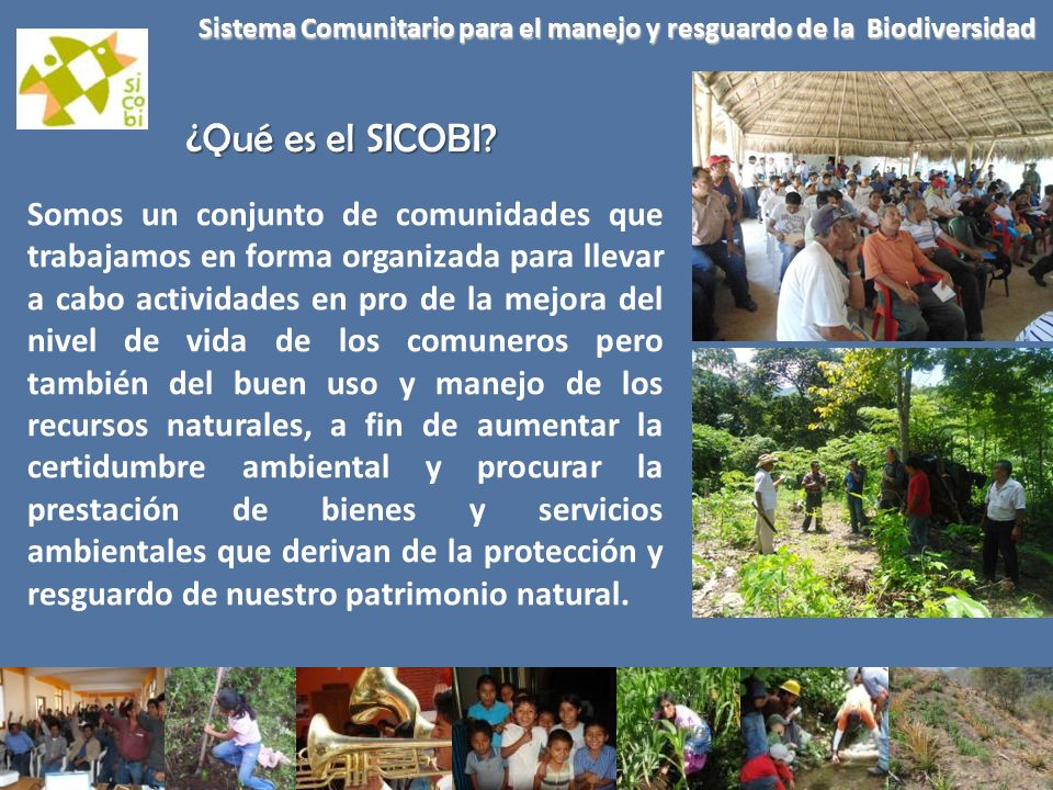 Sistema Comunitario para el manejo y resguardo de la Biodiversidad