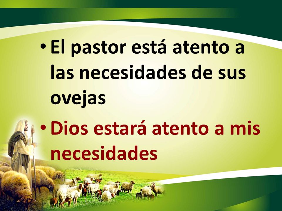 El pastor está atento a las necesidades de sus ovejas