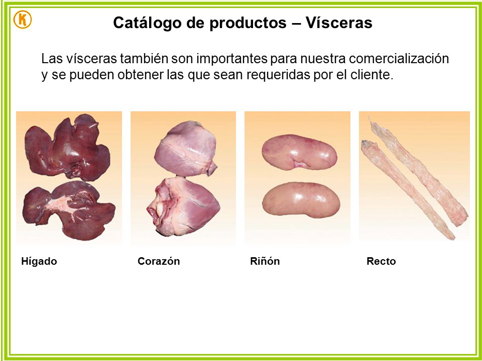 Catálogo de productos – Vísceras