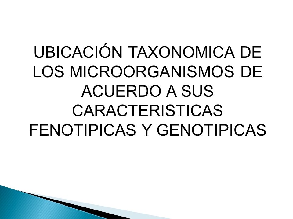 UBICACIÓN TAXONOMICA DE LOS MICROORGANISMOS DE ACUERDO A SUS CARACTERISTICAS FENOTIPICAS Y GENOTIPICAS