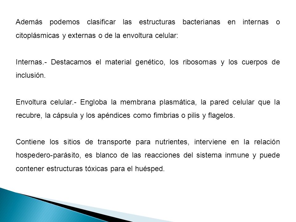 Además podemos clasificar las estructuras bacterianas en internas o citoplásmicas y externas o de la envoltura celular: