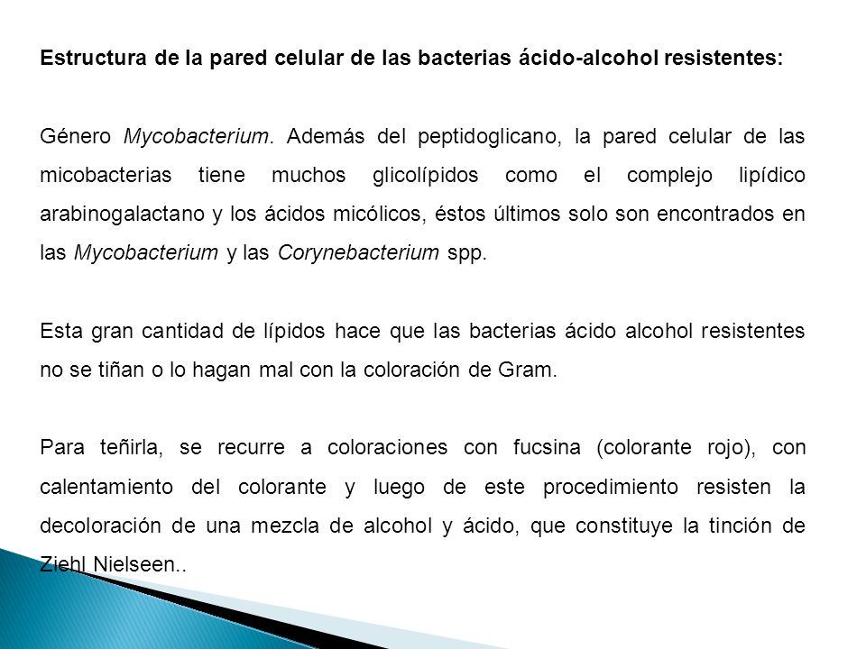 Estructura de la pared celular de las bacterias ácido-alcohol resistentes: