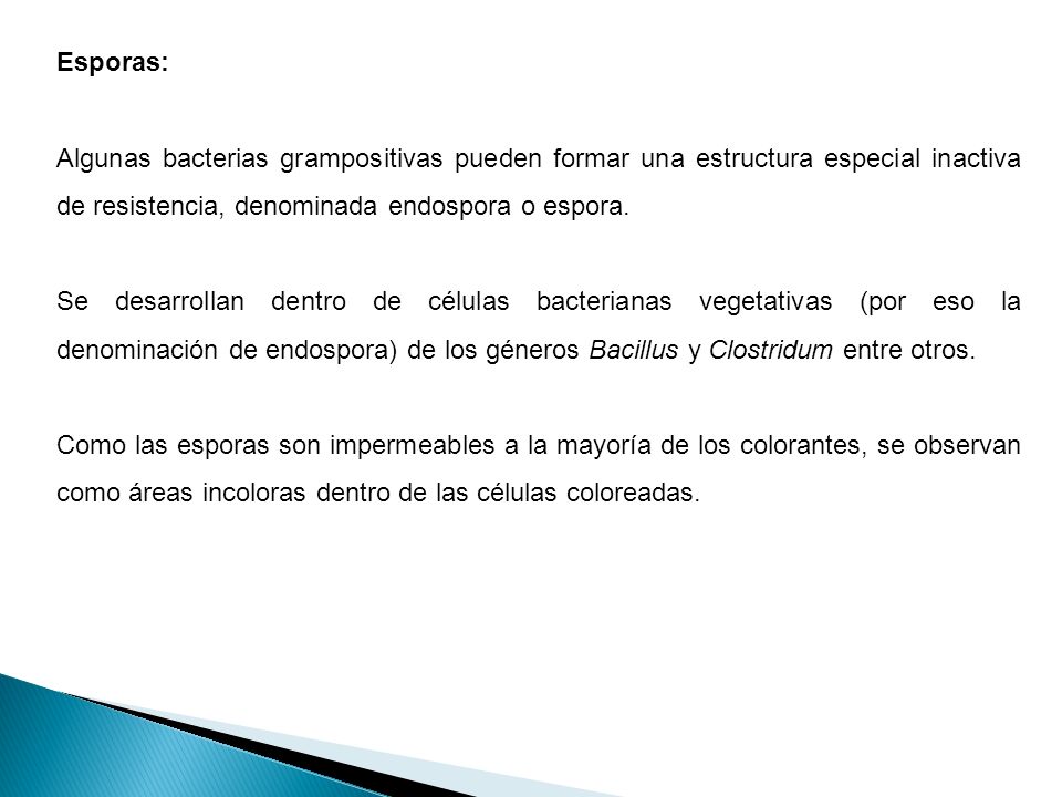 Esporas: Algunas bacterias grampositivas pueden formar una estructura especial inactiva de resistencia, denominada endospora o espora.