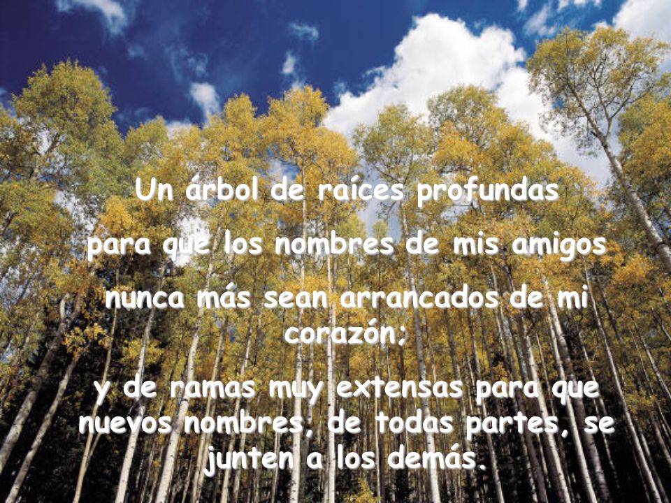 Un árbol de raíces profundas para que los nombres de mis amigos