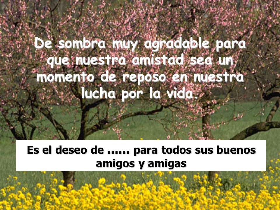 Es el deseo de para todos sus buenos amigos y amigas