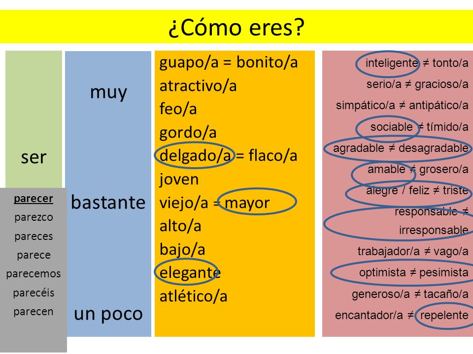 ¿Cómo eres muy ser bastante un poco guapo/a = bonito/a atractivo/a