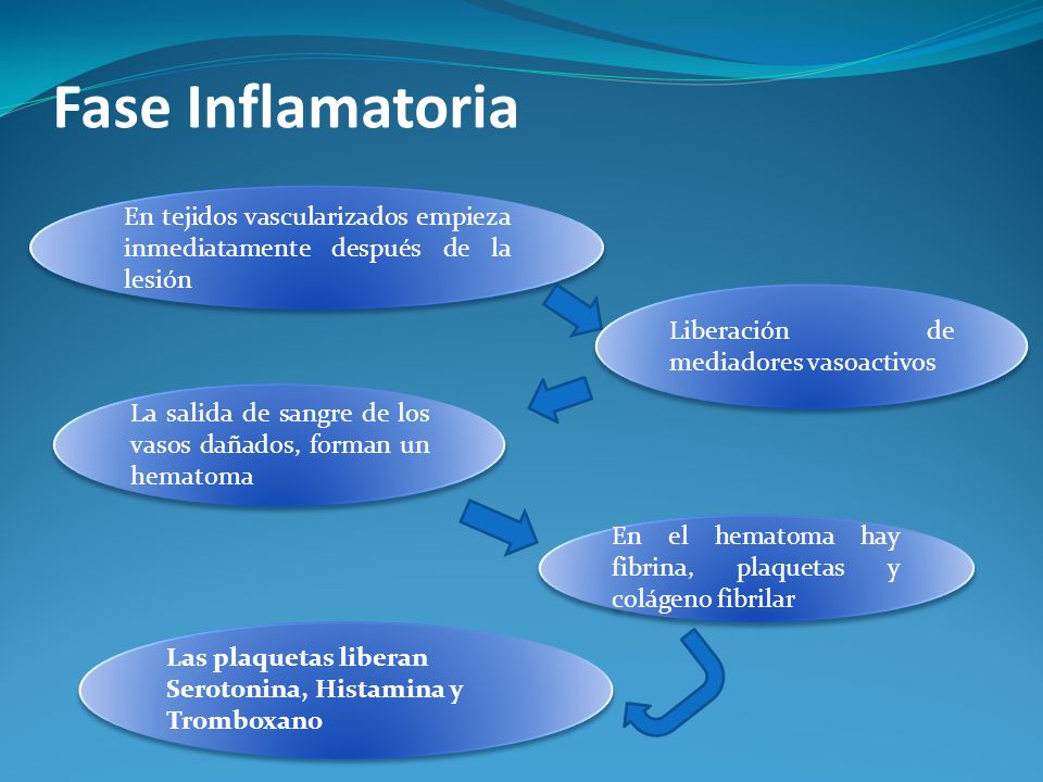 Fase Inflamatoria En tejidos vascularizados empieza inmediatamente después de la lesión. Liberación de mediadores vasoactivos.